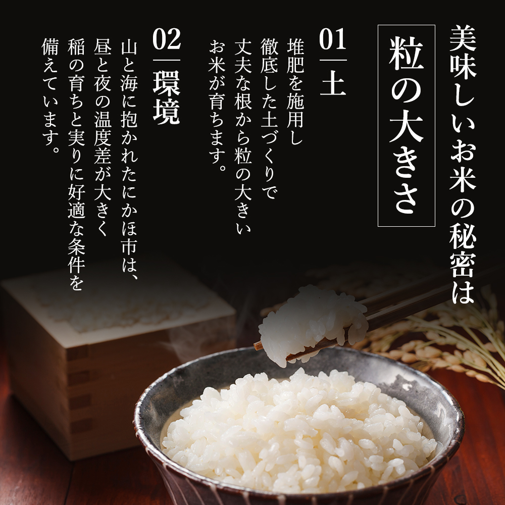 米 定期便 全6回【交互にお届け/ 初回あきたこまち】あきたこまち