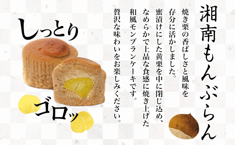 湘南 冨士美 和もんぶらん 5個入り×2箱 もんぶらん モンブラン 和