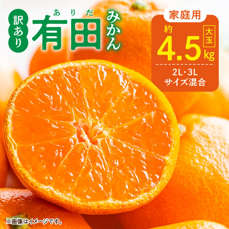 2026年先行予約】ご家庭用 有田みかん 和歌山 大玉(2L,3Lサイズ混合