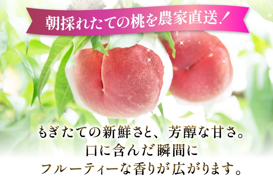 2026年発送】桃 山梨 秀品 朝どれ 大玉 約 2.0kg 4～6玉 朝獲れ
