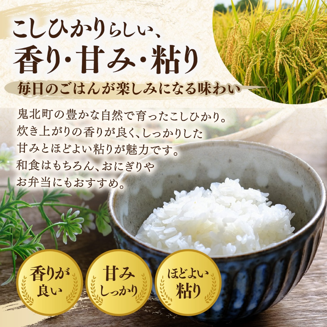先行予約】【令和8年産】鬼北町産 こしひかり 5kg 【米屋仕上げ】| R8