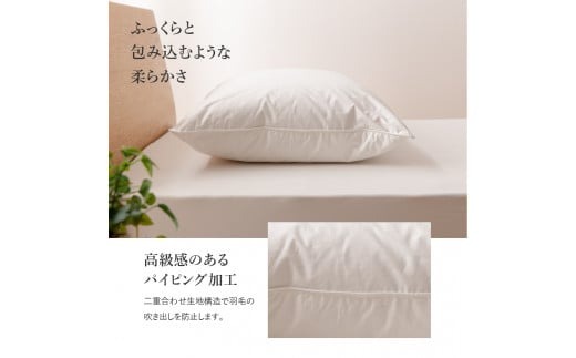 d630138d-e1c7-47c5-b85d-