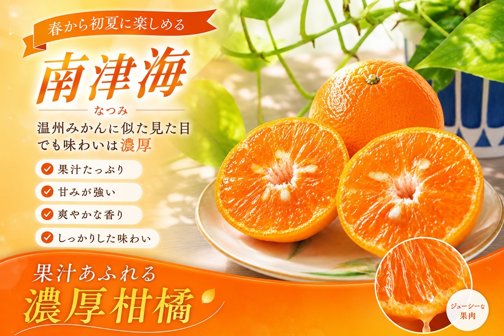 2027年4月上旬より発送開始】南津海(なつみ)みかん 2.5kg【みかん 柑橘