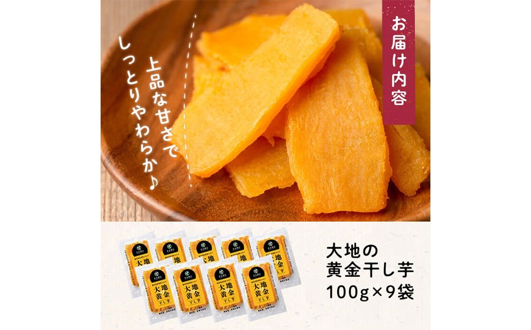 大地の黄金干し芋 計900g(100g×9袋) a1-076（鹿児島県志布志市