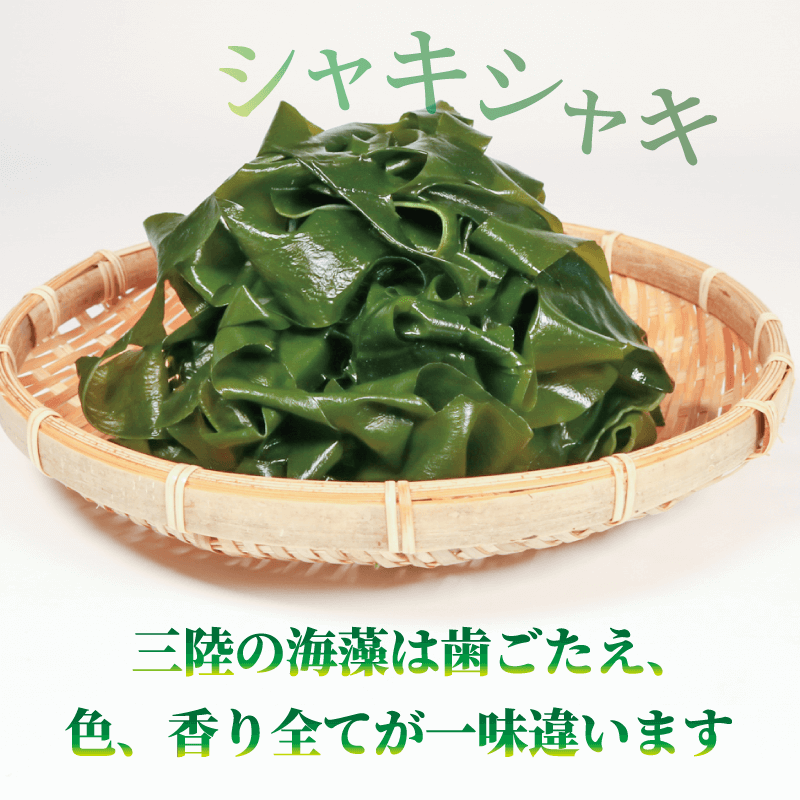 三陸 大船渡産 海藻 味わいつくしセットA (わかめ100g、茎わかめ200g