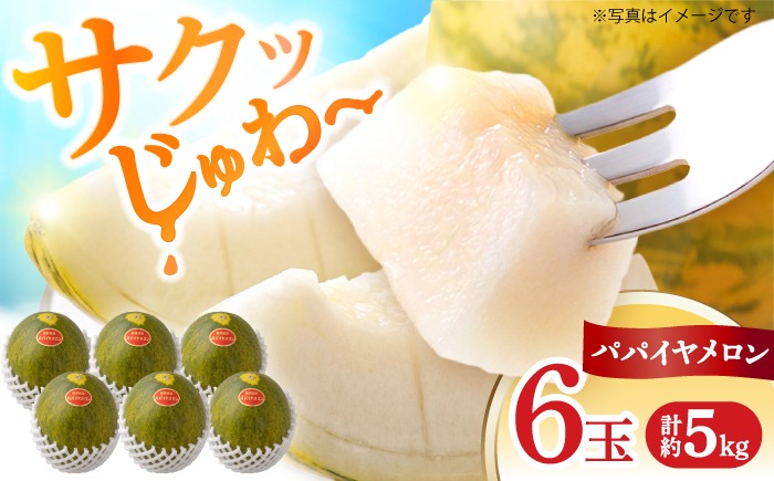 パパイヤメロン 6玉 （ 約 5kg ） / メロン めろん パパイヤメロン