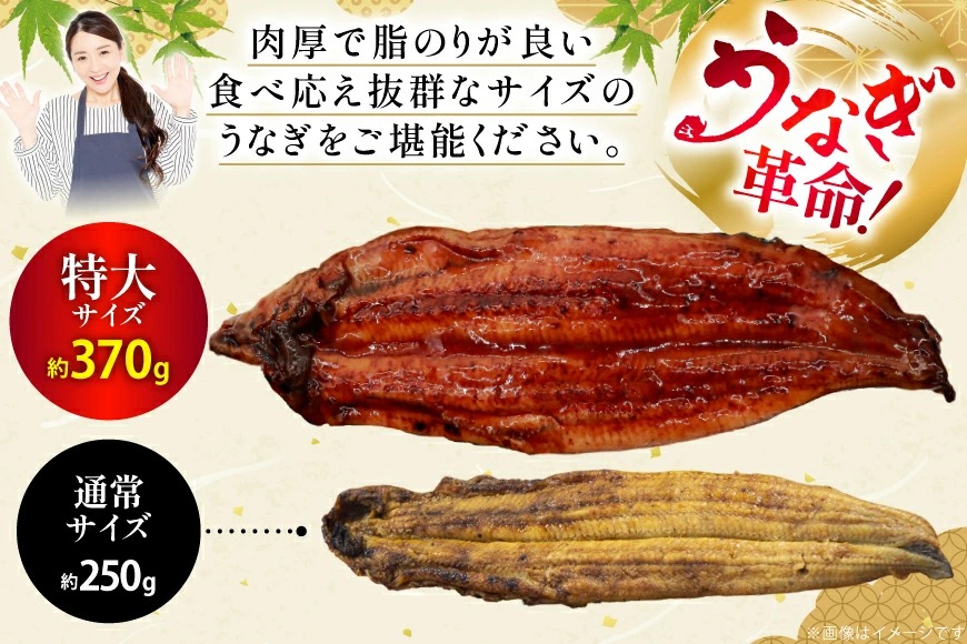 うなぎ蒲焼 4尾 190g〜209g 四万十川産 うなぎ蒲焼き 4尾 無投薬 国産 四万十鰻 – 池澤鮮魚