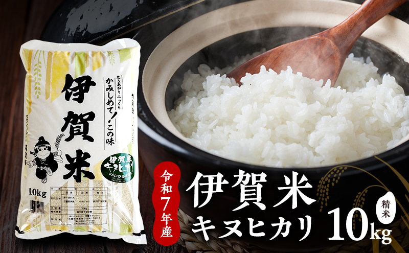 お米 キヌヒカリ 【精米】令和7年産 伊賀米キヌヒカリ 10kg 白米