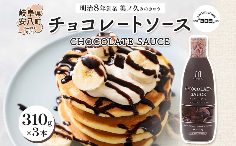 クリームとチョコソースの皿 美ノ久 チョコレートソース 310g×3本 チョコレート ソース チョコ