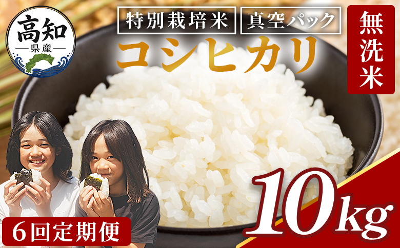 コシヒカリ 10kg【6回定期便】令和8年産 高知県香南市産 特別栽培米