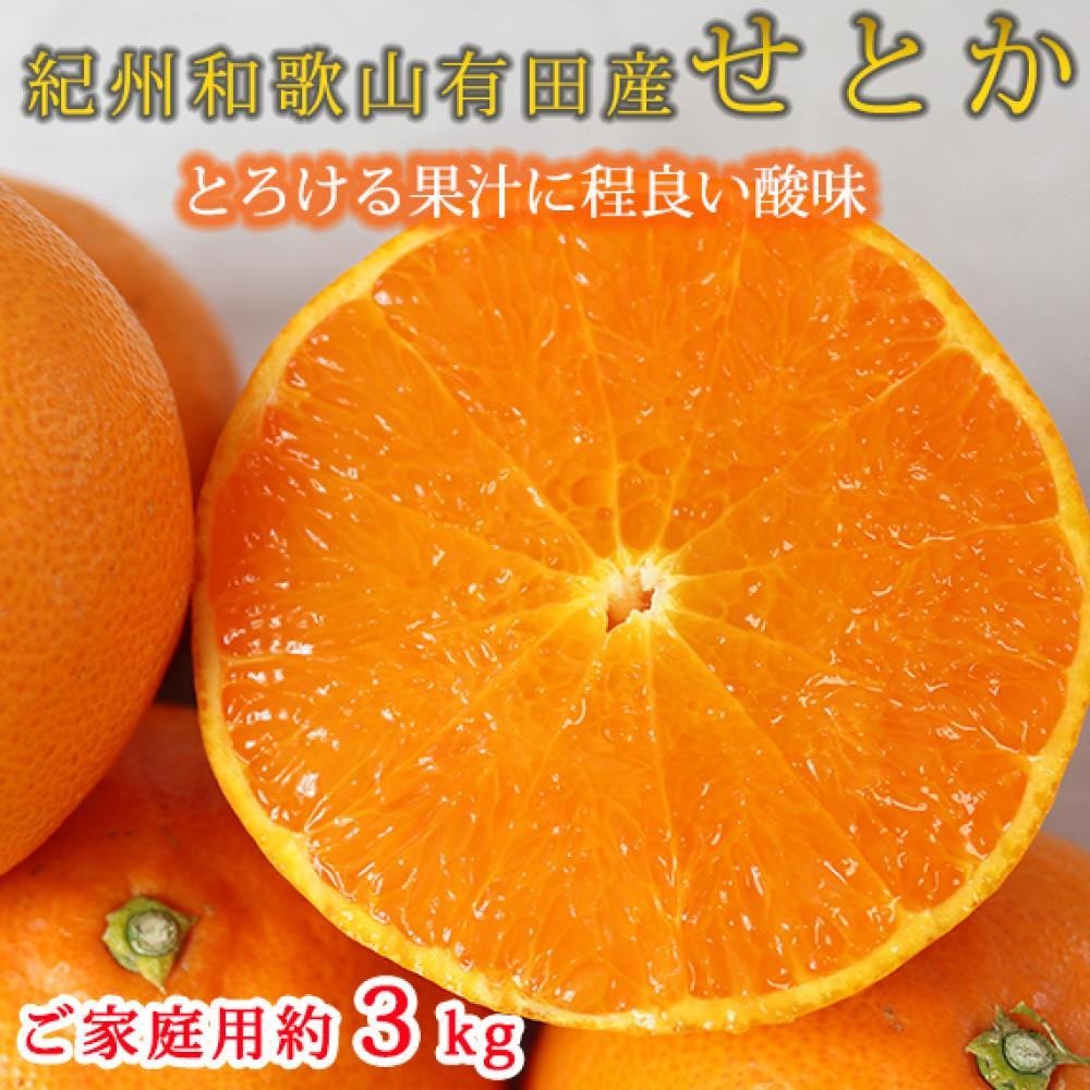 1・2・3・4月 全4回 定期便】紀州和歌山産旬のご家庭用柑橘セット
