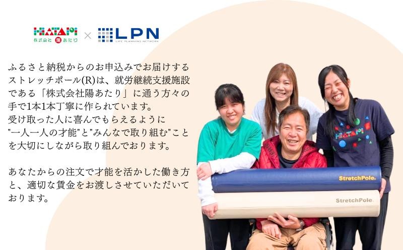 100F073 【LPN社製】ストレッチポールEX アイボリー【正規品