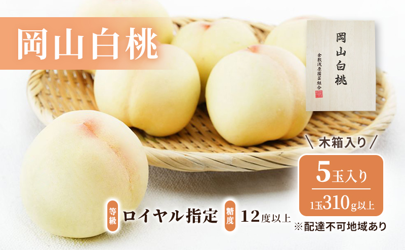 桃 2027年 先行予約 岡山 白桃 5玉（1玉310g以上）等級：ロイヤル指定