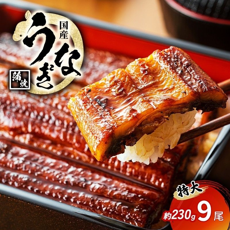 特大うなぎの蒲焼き 国産(愛知県産) 約230g前後 9尾（福井県若狭町