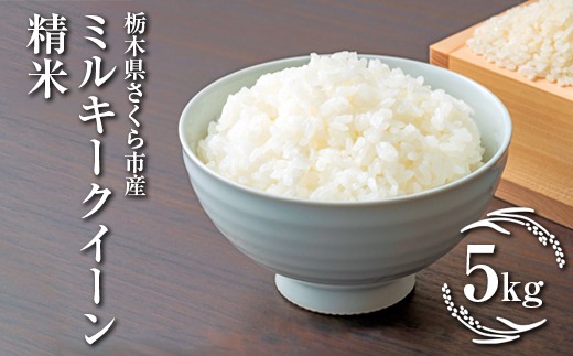 美瑠　ミルキークイーン白米 富山県産 特別栽培米 ミルキークィーン(令和4年) 10kg×12回