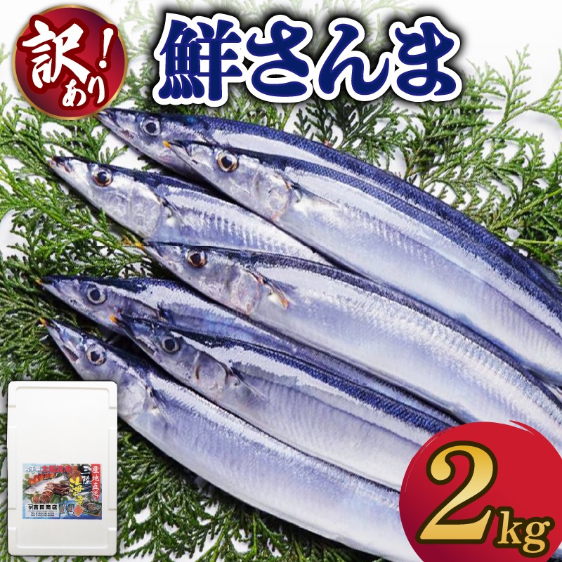 なまさんま 楽天市場】さんま醤油味付（170g）1缶 木の屋石巻水産 さんま