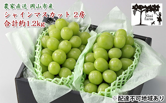 ぶどう 2026年 先行予約 【平均糖度20度】農家こだわりの シャイン