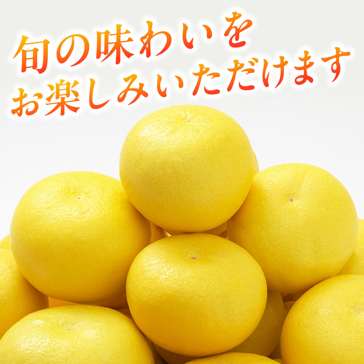 先行予約】生産者直送 土佐文旦 約9.5kg [2L～4L] 家庭用 ＜2027年1月