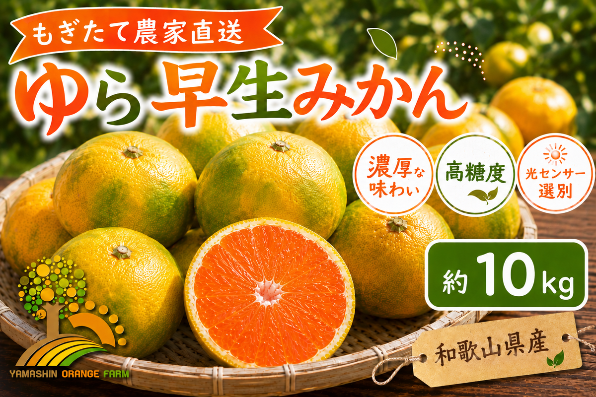 先行予約】ゆら早生 みかん 濃厚な味わい 約10kg 希少品種《有機質肥料