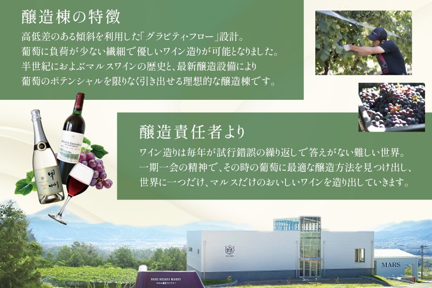 ワイン 赤 スパークリング おまかせ マルスワイン2本セット ～冬の陣