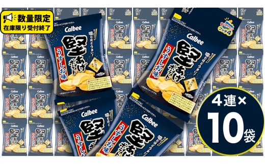 4連 小袋 お菓子 カルビー 堅あげポテト (うすしお味 プッチ4) 40袋（4