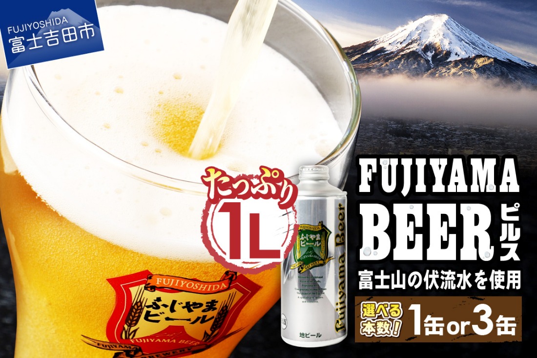 DHCビール　境町　富士見百景にごりビール 24本 送料込み　2箱 K2473 境町オリジナル 富士見 百景にごりビール 350ml×24本