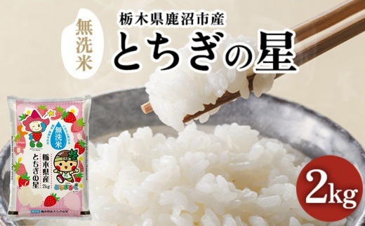 ☆農家直送 令和7年産とちぎの星 20Kg 玄米 (精米可) 栃木県