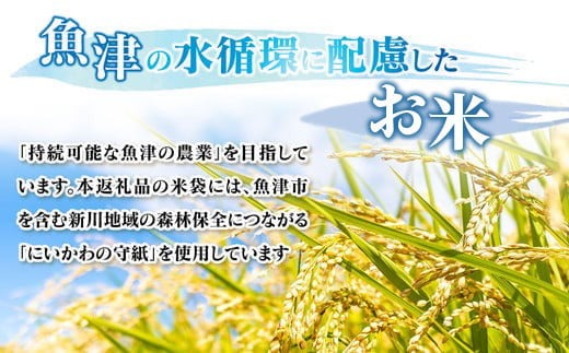 農家直送／ 【令和6年産】【玄米】 おすすめのお米食べ比べセット 魚津