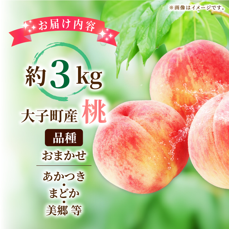 先行予約・数量限定】大子町産「桃」約3kg 品種おまかせ（あかつき