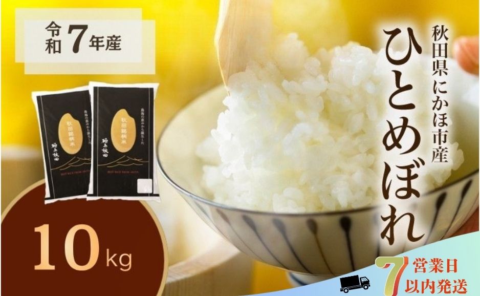 ひとめぼれ 令和7年度産 精米10kg(5kg×2)【精米 白米 米 コメ お米