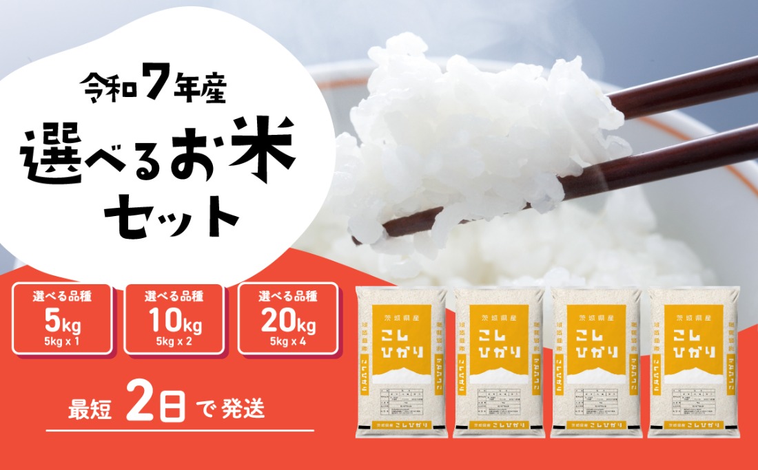 こしひかり選べるお米セット