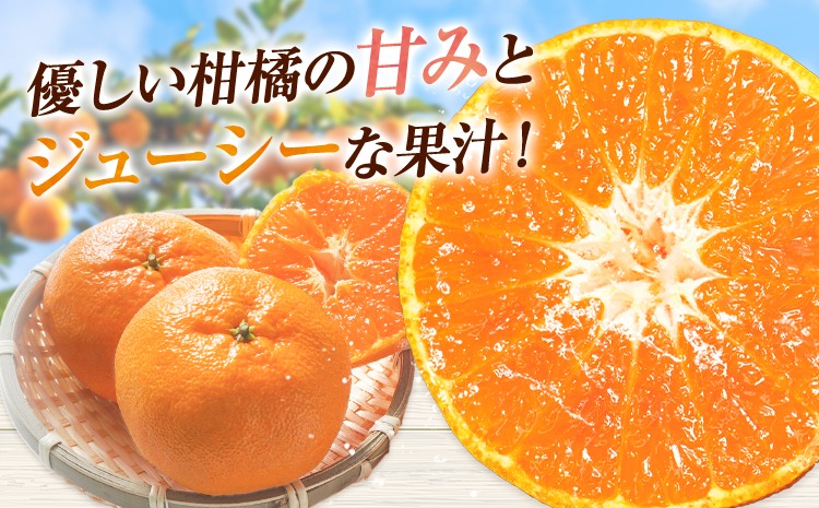 西南のひかり 約5kg さかもと果樹園《12月中旬-12月末頃出荷》熊本県