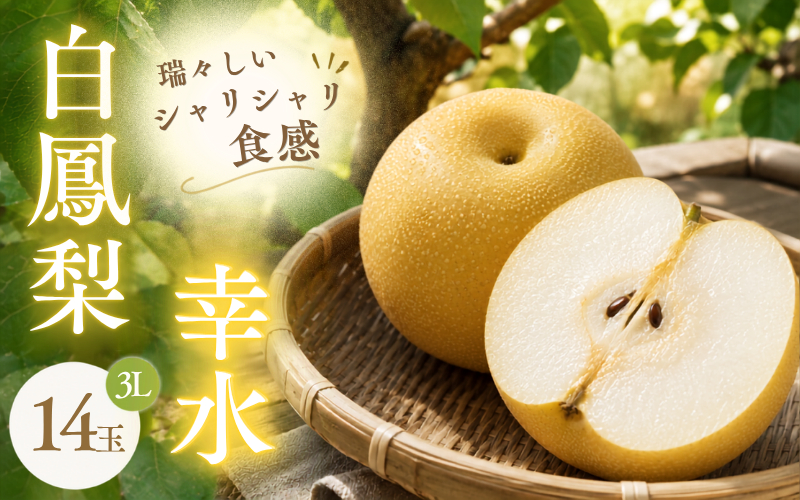 白鳳梨(幸水) 3L 14玉 ※お届けは8月中旬以降の予定です【hkns0003