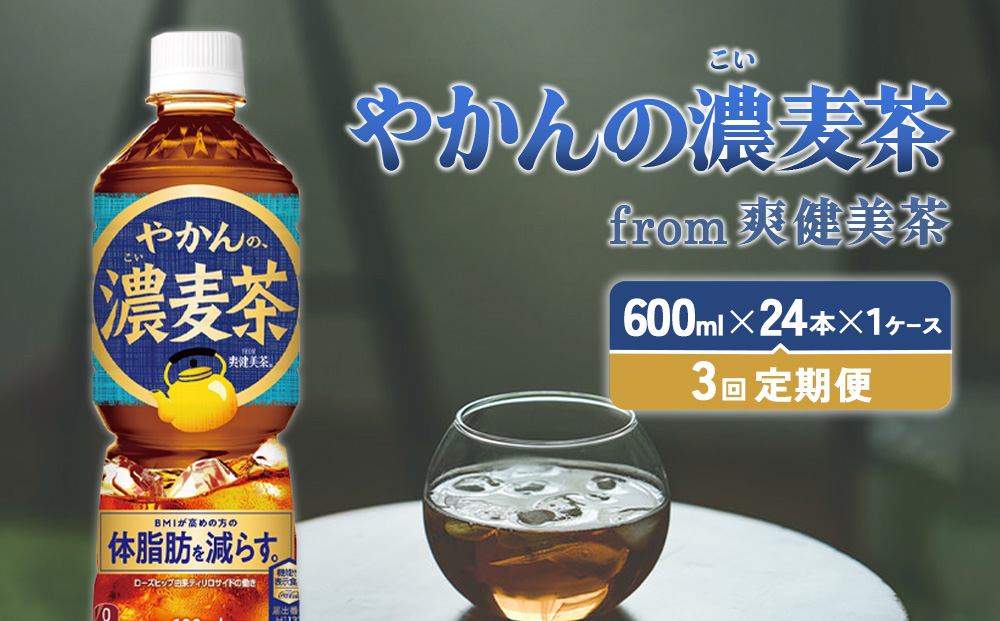 3回定期便】やかんの濃麦茶 from 爽健美茶 600ml PET×24本（1ケース