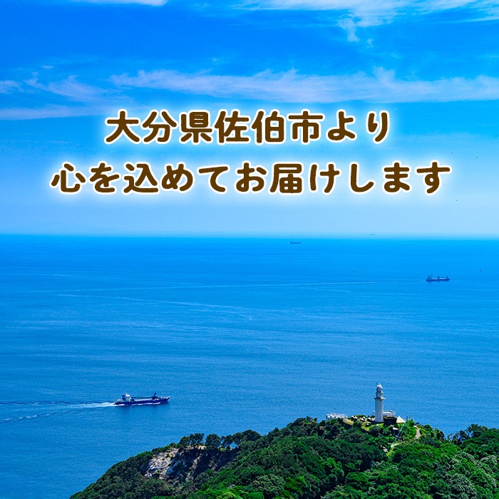夏休み特化！！　現在出品分全て。 アトモスのアディダス オリジナルス別注第10弾、初代の配色を