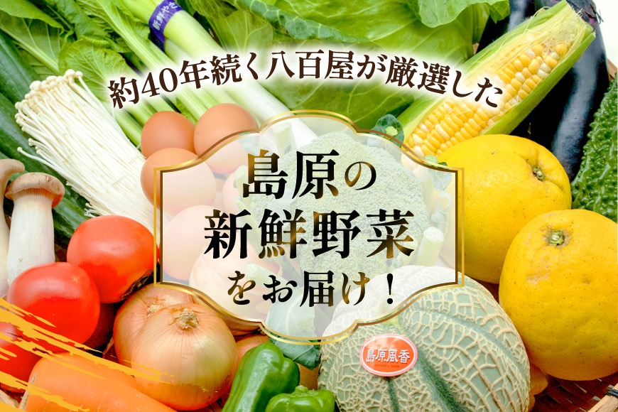 BF059 【12回定期便】旬の野菜・フルーツ (12～14品目)・卵 (6個
