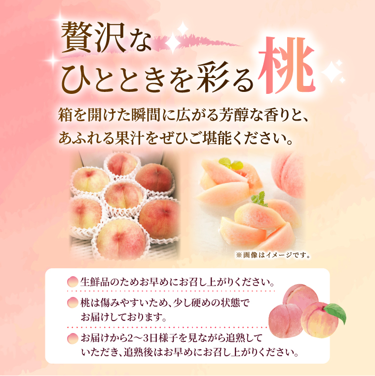 先行予約・数量限定】大子町産「桃」約3kg 品種おまかせ（あかつき