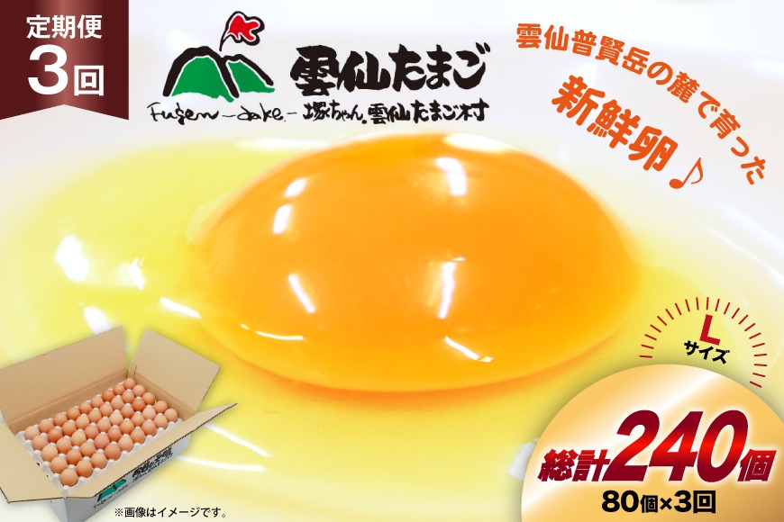 BI037 3回 定期便 たっぷり！ 雲仙たまごLサイズ 80個 (75個＋割れ補償