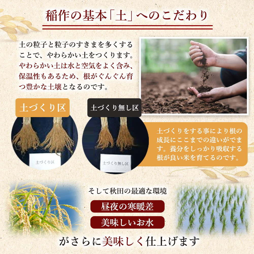 秋田県産 ひとめぼれ 5kg 令和7年産〈土づくり実証米〉JAしんせい