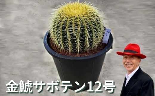 dceb4644-695b-455e-a2a7-