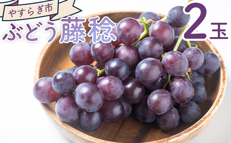 ぶどう 藤稔 2P 国産 果物 くだもの 青果 フルーツ 葡萄 ブドウ