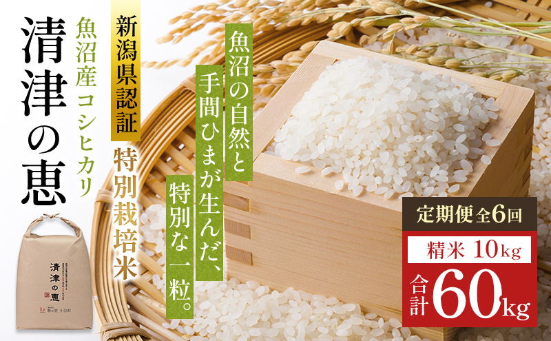 通年受付】令和7年産魚沼産特別栽培米コシヒカリ［清津の恵］精米10kg
