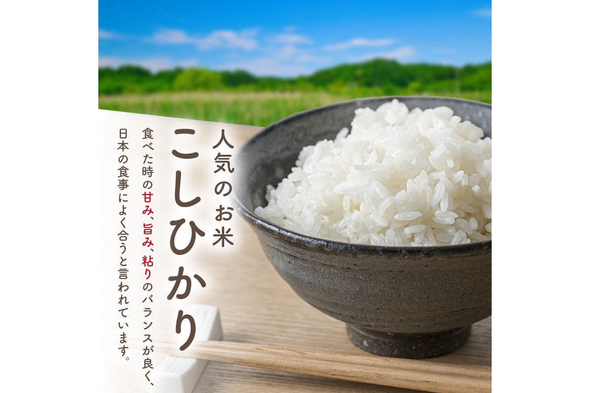 旬の野菜 5～8種詰め合わせと京都・京丹後産コシヒカリ2kgセット 国産