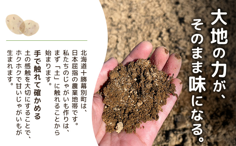 先行予約/2026年秋発送 北海道 十勝 幕別産 じゃがいも さやか 約10kg