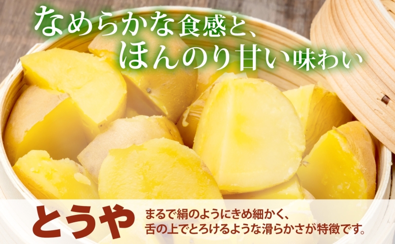 北海道 洞爺湖町産 新じゃがいも とうや 約20kg Mサイズ以上混載 2026