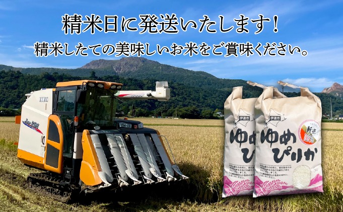 令和7年産 《9月20日発送開始》ゆめぴりか精米 5kg 生産者直送 北海道