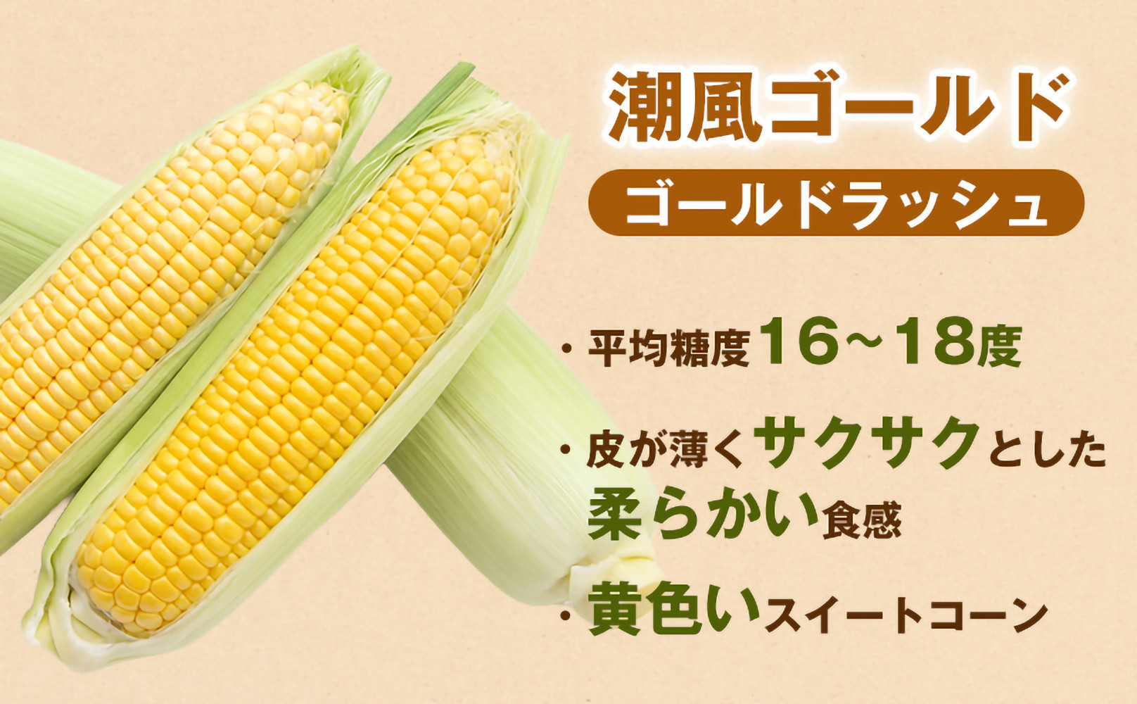 2027年発送 先行予約 夏の味覚］潮風ゴールド 2Lサイズ 5～8本 1セット