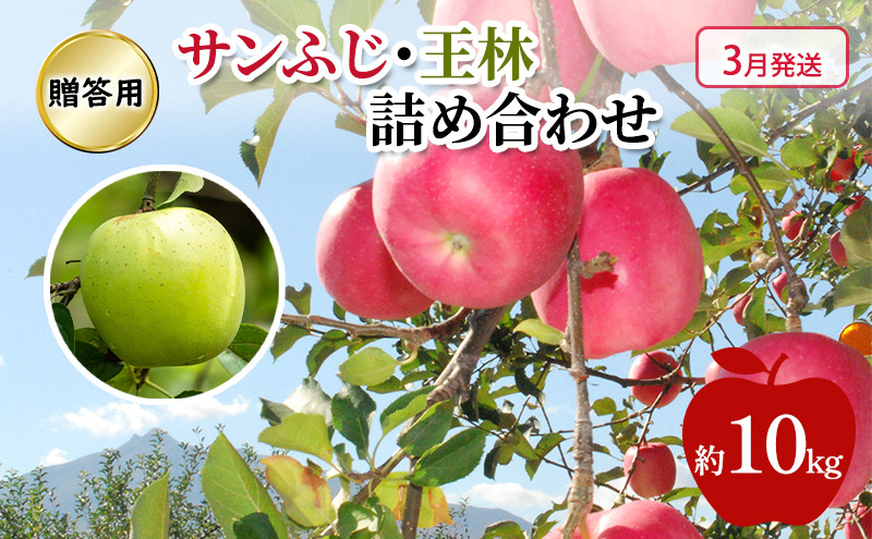 りんごまま様の専用　13個 りんご 【 3月発送 】 糖度13度～贈答用 サンふじ ・ 王林 詰め合わせ