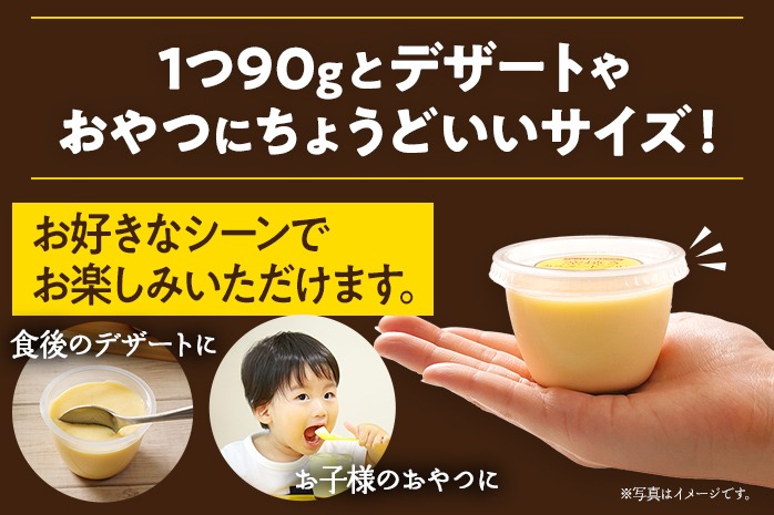 じっくり焼き上げた窯焼きカスタードプリン 12個 プリン スイーツ