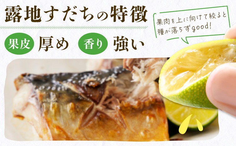 2026年予約受付＞ 生産量日本一!! ちょっとキズでも香りは満点 徳島県